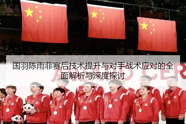 国羽陈雨菲赛后技术提升与对手战术应对的全面解析与深度探讨